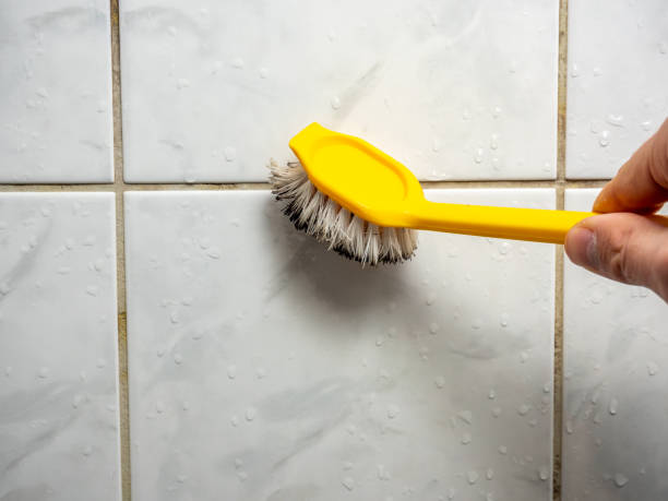 Best Residential Mold Remediation in Keego Harbor, MI