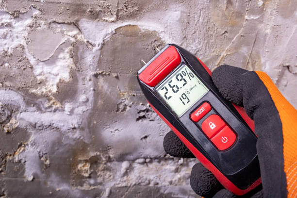 Best Bathroom Mold Remediation in Keego Harbor, MI