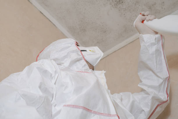 Best Insurance-Related Mold Remediation in Keego Harbor, MI