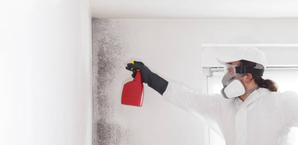 Best Industrial Mold Remediation in Keego Harbor, MI