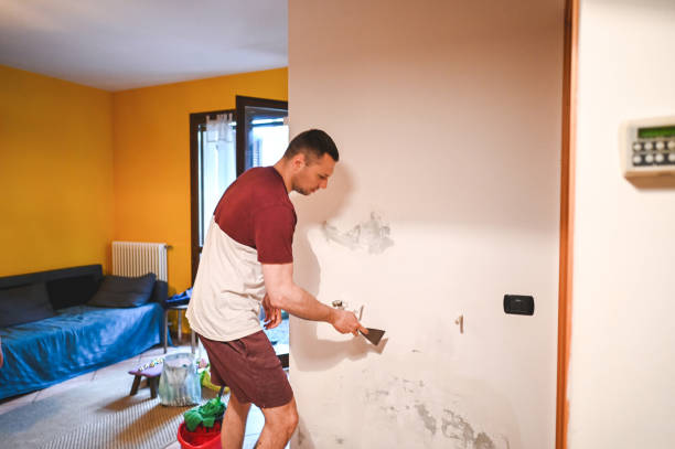 Reliable Keego Harbor, MI Mold Remediation Solutions